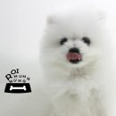 뽀송뽀송 이미지