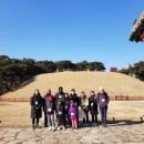 나이스투어 - 광산구 평동산단로 196-24 | 나이스투어