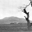 광주북성중학교 이미지