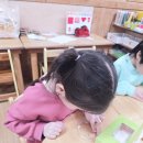 과학 ~ 씨앗(무순)이 자라요 이미지