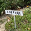 카덴차 | 아아 양인모..- 2026년 상반기 공연들