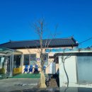 홍아네칼국수 이미지