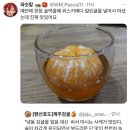 롱타임노씨 이미지