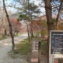 파주삼릉 | [조선왕릉] 조선 왕실의 애잔함이 서려있는 '파주 삼릉' 방문 후기