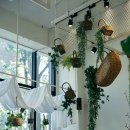 더 피올라 플라워 이미지