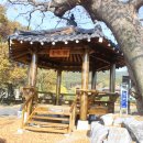 비인보건지소 이미지