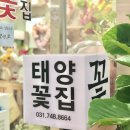 태양화원 이미지