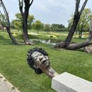 곡성-229 | 순천 가볼만한곳 순천만국가정원 순천만습지 포토스팟 스카이큐브 모노레일