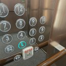 도미니클라바 이미지