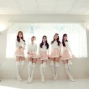 베리 이미지