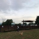 장자호수공원(반려견놀이터) 이미지