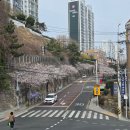 산돌밧데리 네이버블로그