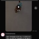 오쉬오트 이미지