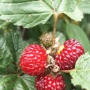 천시원교육농장 이미지