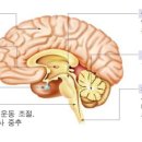 경희GYM 네이버블로그