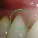 서울동서남북치과의원 이미지