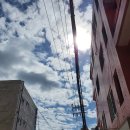 한림본치과의원 이미지