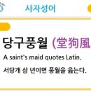 당구풍월 이미지