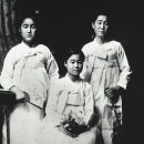 찬록농장 네이버블로그