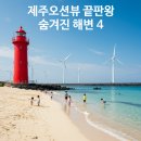 문주란 자생지 | 제주 오션뷰 끝판왕! 숨겨진 해변 4곳