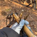 진숙농장 이미지