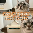 신성기계 | 에어워셔 공기순환기 반려동물 고양이 냄새제거 공기청정기 신성에어크린