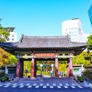세종대학교 박물관 이미지