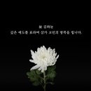 대전양만 이데일리
