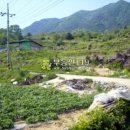 대전리농장 이미지