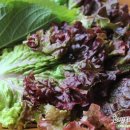 신마포갈비 이미지