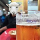 상봉노가리 이미지