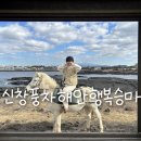 농막목장 | 제주도 승마체험 신창풍차해안행복승마 내돈내산 추천