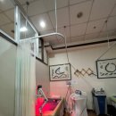 노블경희한의원 이미지