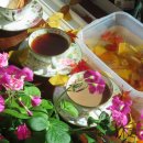 카페 바이올렛 이미지