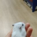 작은친구 이미지