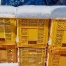 천만농장2 이미지