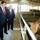 한우사육장 이미지