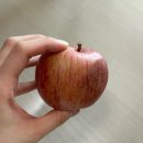 리뷰LEE뷰ෆ 네이버스토어팜 과일소롯이 🍎과즙홍수 청송사과🍎 구매 후기