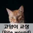 효창동물병원 이미지