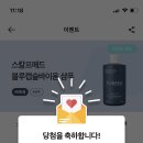 블루메드 이미지