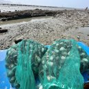 대부도호텔마리나 이미지