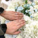 조이아 | W.1 종로 웨딩밴드 투어 | 100만원대 가성비 웨딩링 조이아주얼리 계약 후기 💍 (견적공유)