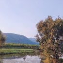 (임당2리)명포습지