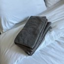 몽산포해변펜션 | 태안 몽산포 해변 수산시장 갯벌 체험 라차비치펜션 후기