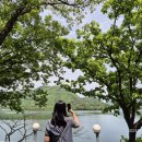 반교돌담민박