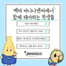 백마아크릴