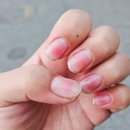 호호냥(Hohonyang) 이미지