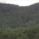 울진군울진읍신림보건진료소 이미지