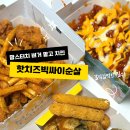 맘스터치 미사역점 | 맘스터치 치킨 핫치즈빅싸이순살 빅싸이순살맥스 내돈내산 후기