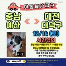 충남켄넬 이미지